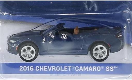 Chevrolet Camaro 1/64 Greenlight SS metallic-bleue 2016 General Motors Series 1 ohne Vitrine miniature